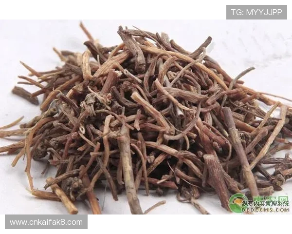 了解凯发旗舰厅app注册流程中的注意事项，确保账号安全顺利完成注册
