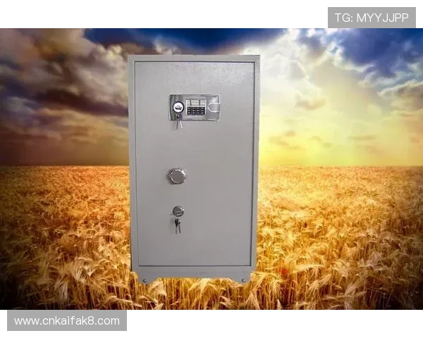 凯发k8官方网站登录网页版最新入口，确保玩家快速安全进入游戏大厅畅玩多样化的游戏项目
